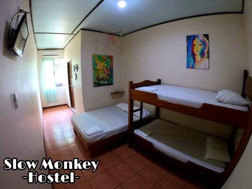 Foto de una habitación de Slow Monkey Hostel