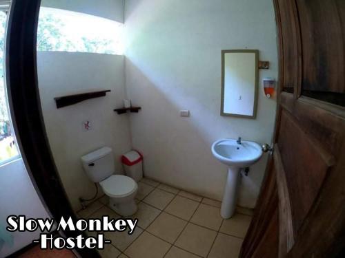 Foto de una habitación de Slow Monkey Hostel