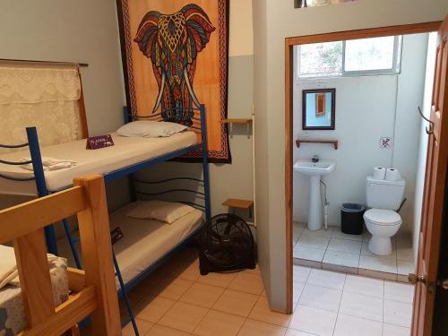 Foto de una habitación de Slow Monkey Hostel