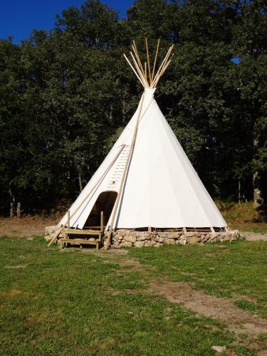 Foto de los servicios de Camping Nomad Planet