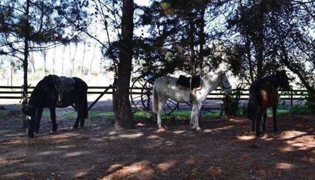 Foto de Hostería de campo Santa Maria