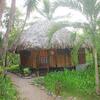 Foto de Bed-and-Breakfast Sun Creek Lodge