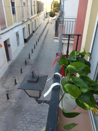 Foto del entorno de Babel Hostel Sevilla