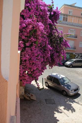Foto del exterior de Apartamentos Lisbon Inn 