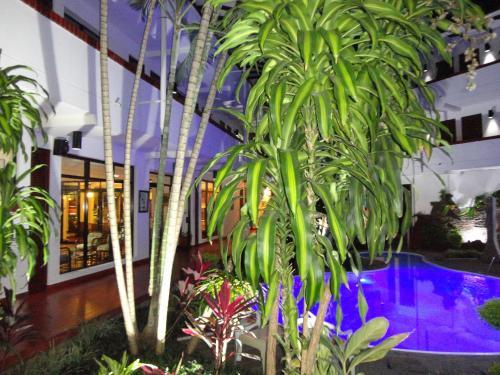 Foto de los servicios de Hotel Las Palmas