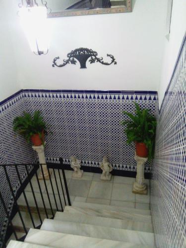 Foto general de Pension Virgen de la Luz