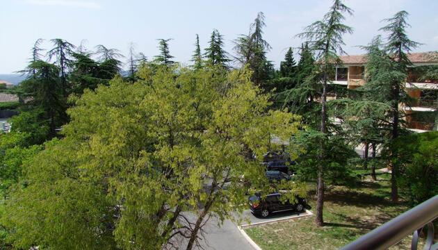 Foto de UZES APPART HOTEL Résidence Le Mas des Oliviers