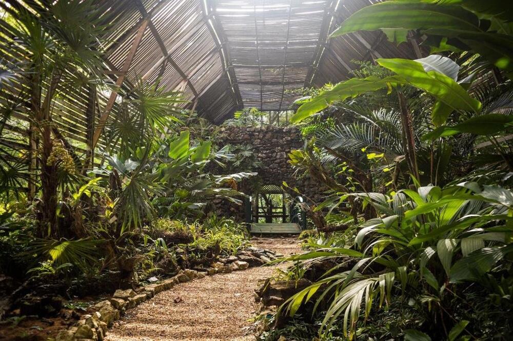 Foto general de Sweet Songs Jungle Lodge