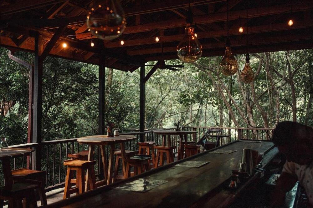 Foto general de Sweet Songs Jungle Lodge