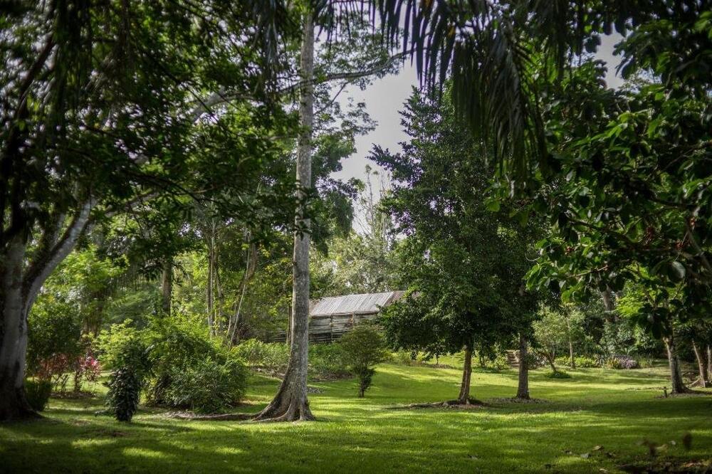 Foto general de Sweet Songs Jungle Lodge