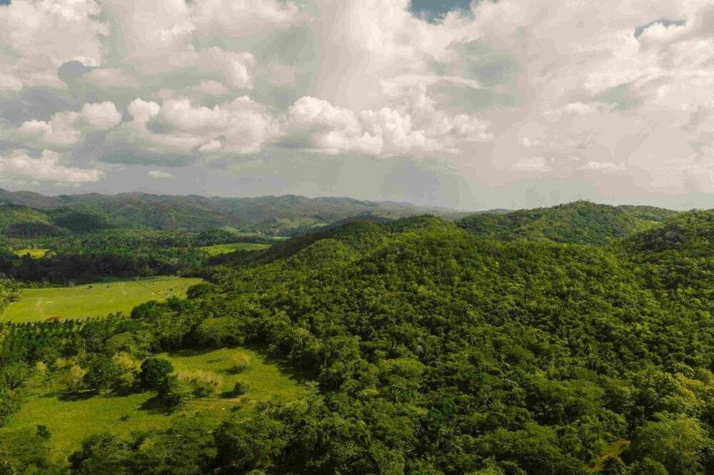 Foto general de Sweet Songs Jungle Lodge