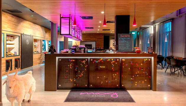 Foto de Hotel Moxy London Excel