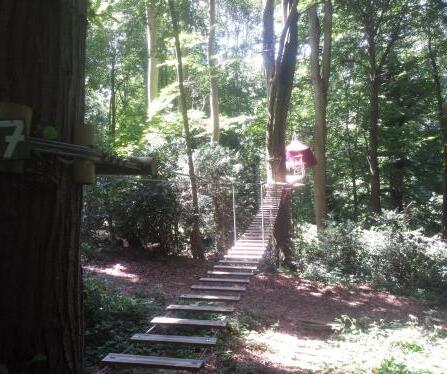 Foto general de Camping Woody Park