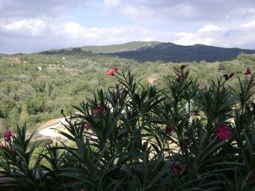 Foto general de La Era de Casa Capellan