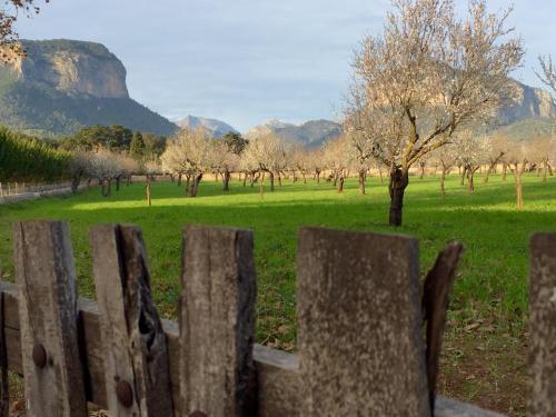 Foto del entorno de Petit Hotel Alaro