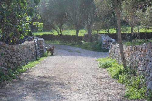 Foto general de Agroturismo Santa Mariana