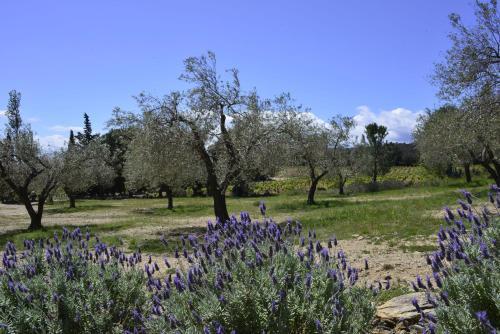 Foto general de El Recer de Masia Serra