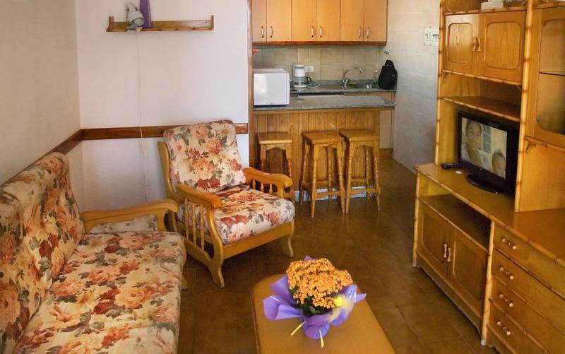Foto general de Apartamentos La Galea