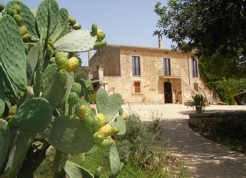 Foto general de Agroturismo Son Samà