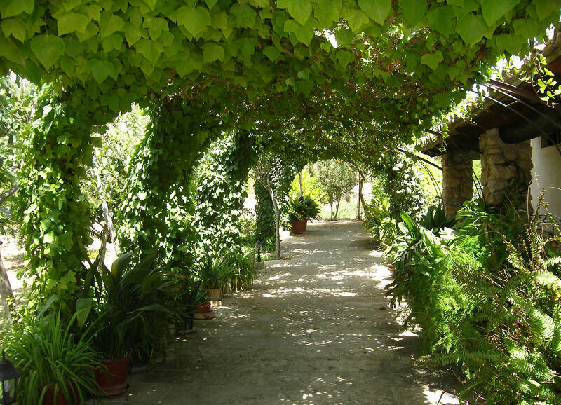 Foto general de Agroturismo Son Samà