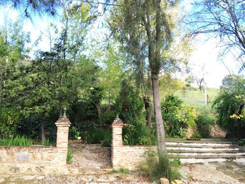 Surrounding area – Country House Cortijo El Berrocal