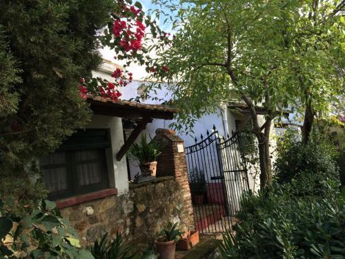 Exterior – Country House Cortijo El Berrocal