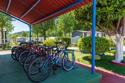 Foto general de Camping Santa Tecla
