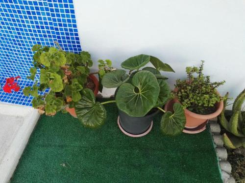 Foto de una habitación de Villa Rosal