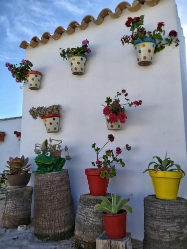 Foto de una habitación de Villa Rosal