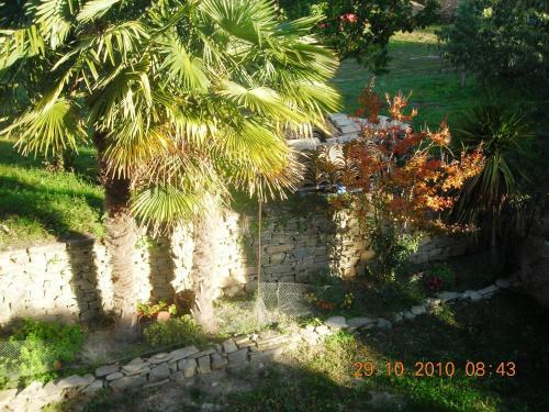 Foto degli esterni Apartamentos Borda Falceto