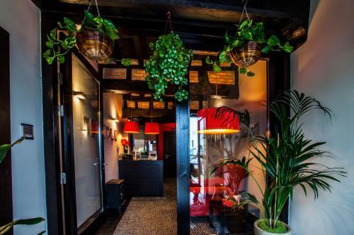 Foto de una habitación de Apartamentos La Plaza