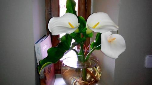 Foto de una habitación de La Casa de Blas