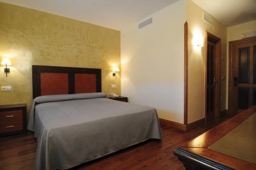 Foto de una habitación de Hotel Rivera del Duero