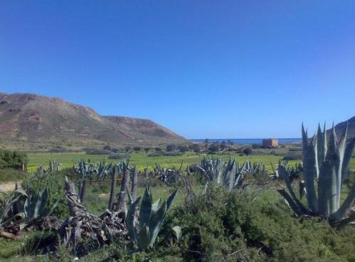 Foto del entorno de Complejo La Ermita