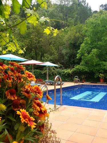 Foto del entorno de Apartamentos El Parral