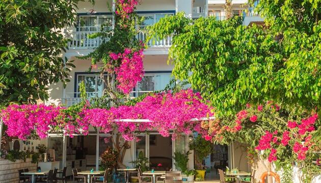 Foto de Hotel Koza