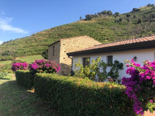 Foto general de Villa Rica