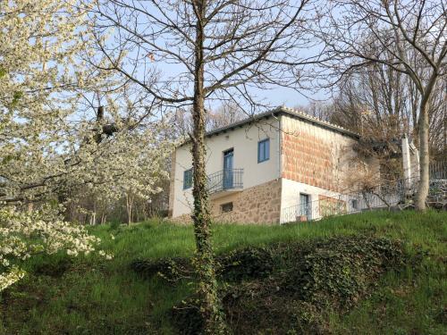 Foto del entorno de Casas y chalets La Casita Del Castañar