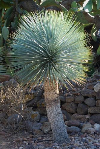 Foto general de Casa Rural El Jardín de los Sueños