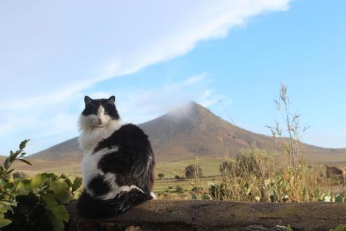 Foto general de Casa Rural El Jardín de los Sueños