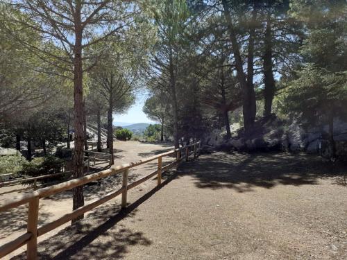Foto general de Camping TajoRodillo