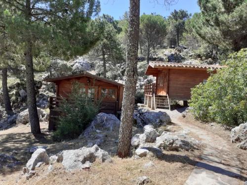 Foto de una habitación de Camping TajoRodillo