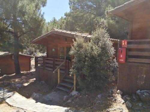 Foto de una habitación de Camping TajoRodillo
