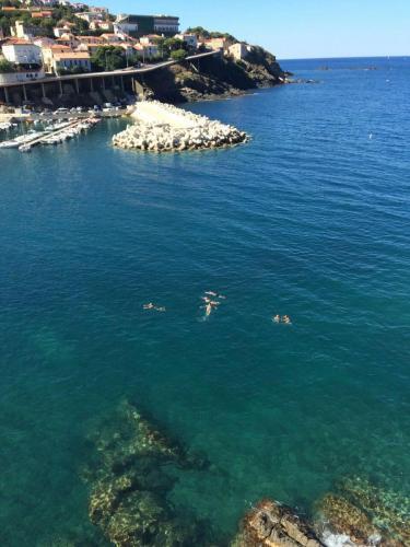 Foto del entorno de Hotel La Vigie - Face à la mer