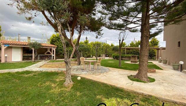 Foto de Aparthotel The Santo George Beach Resort