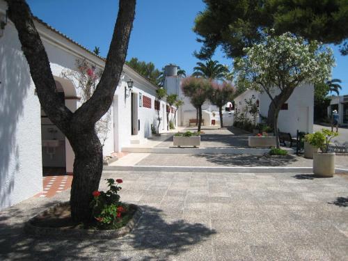 Foto del entorno de Camping Sitges