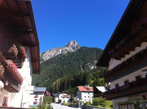 Surrounding area – Apartments Alpenrose
