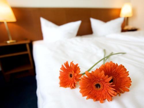 Foto de una habitación de AHORN Seehotel Templin