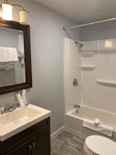 Foto del baño de Motel Econo Lodge at the Falls North