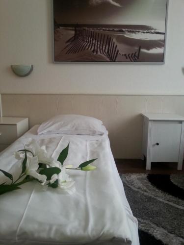 Foto general de Hotel Komet